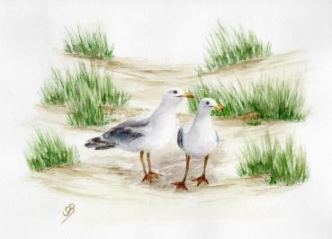 Poster DIN-A4  Aquarell Maritim Kunst Druck Kunstdruck Dänemark Nordsee Ostsee Düne Dünen Meer Möwe Möwen Strand